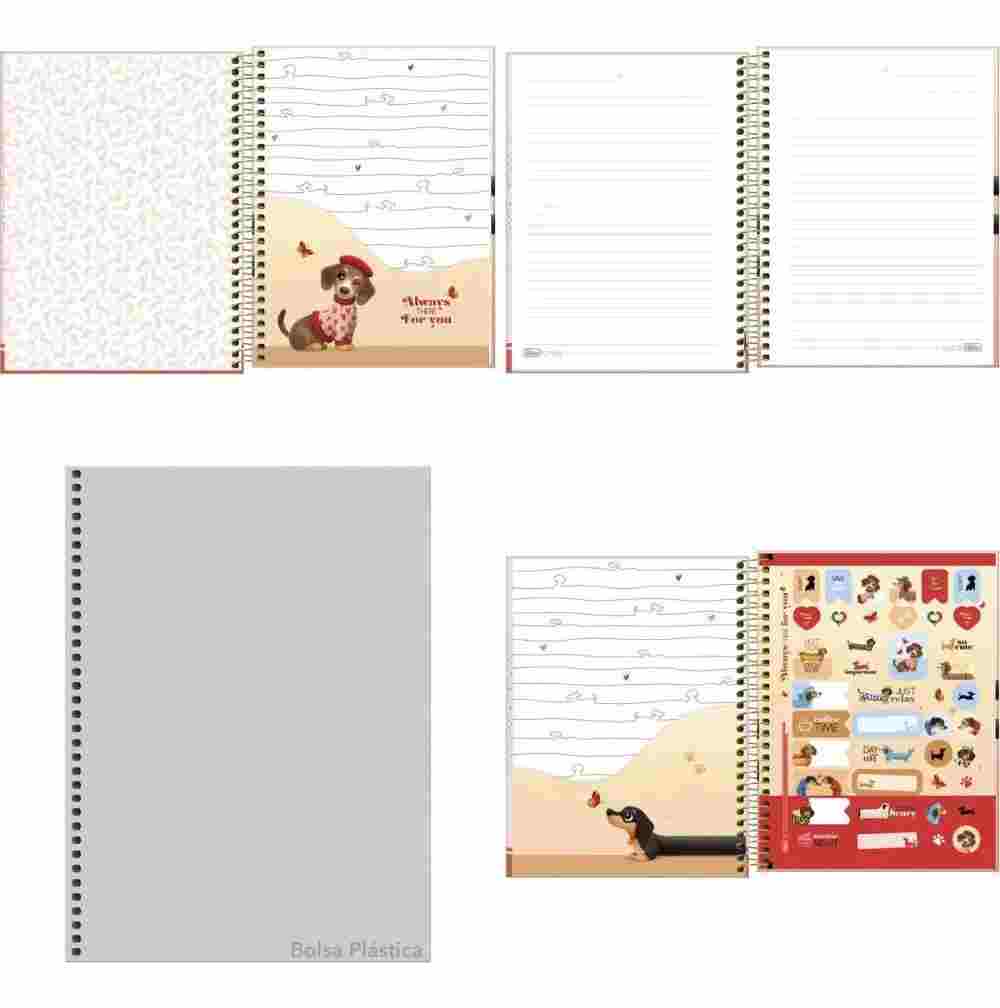 CADERNO 1X1 COLEGIAL BROWNIE